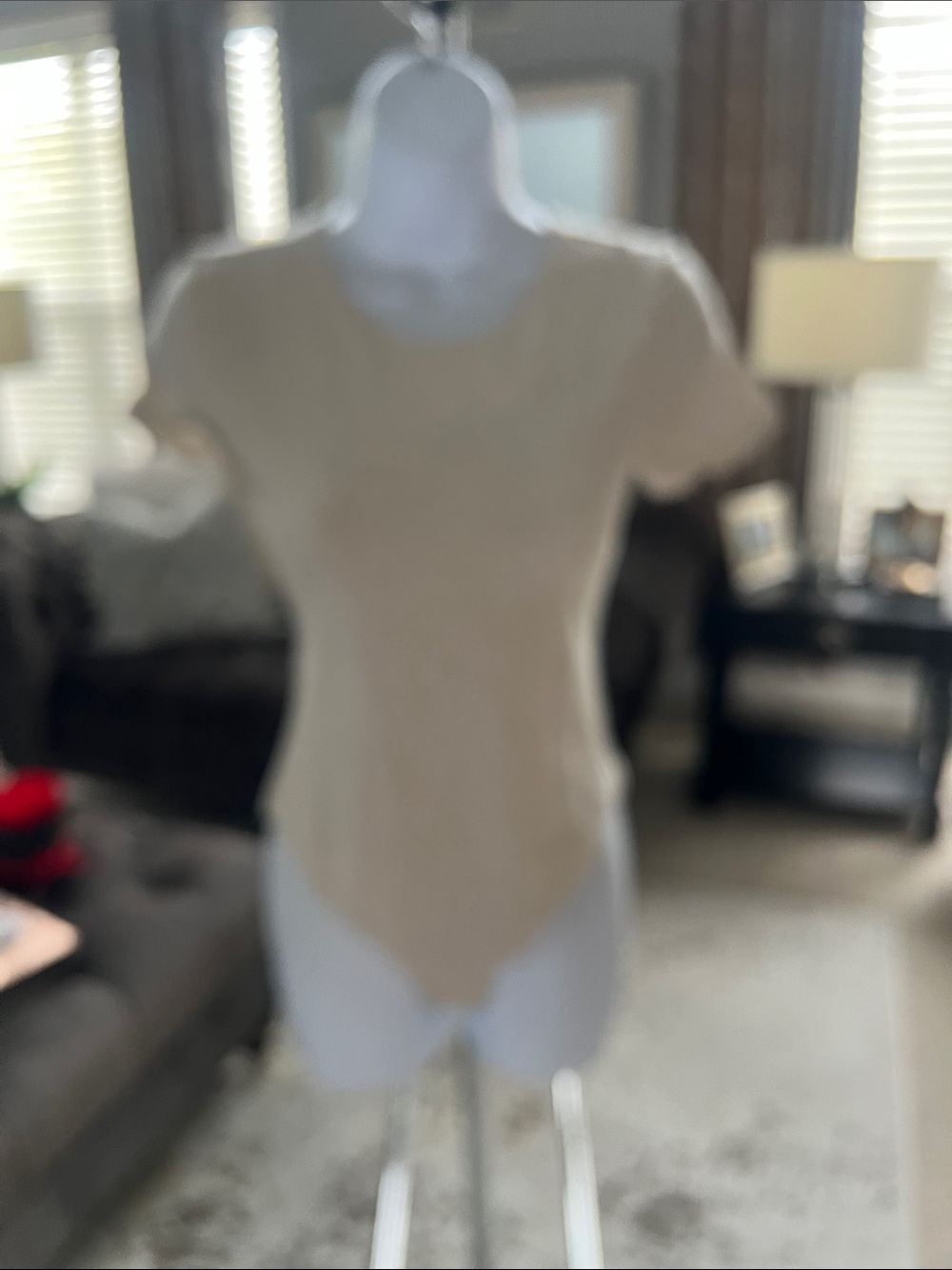 Aritzia contour bodysuit